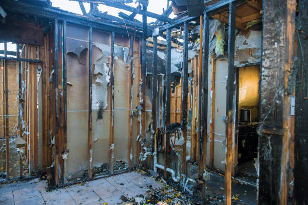 Professional Emergency Fire Cleanup technician working in Brandon, FL