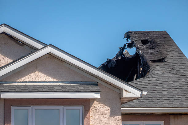 Top rated local Emergency Fire Cleanup specialists in Brandon, FL